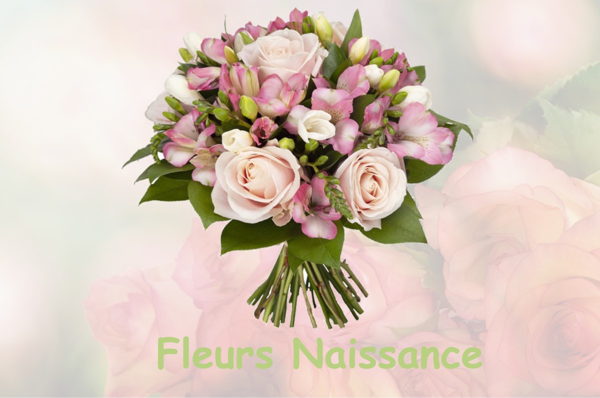 fleurs naissance CONFLANS-SUR-LOING