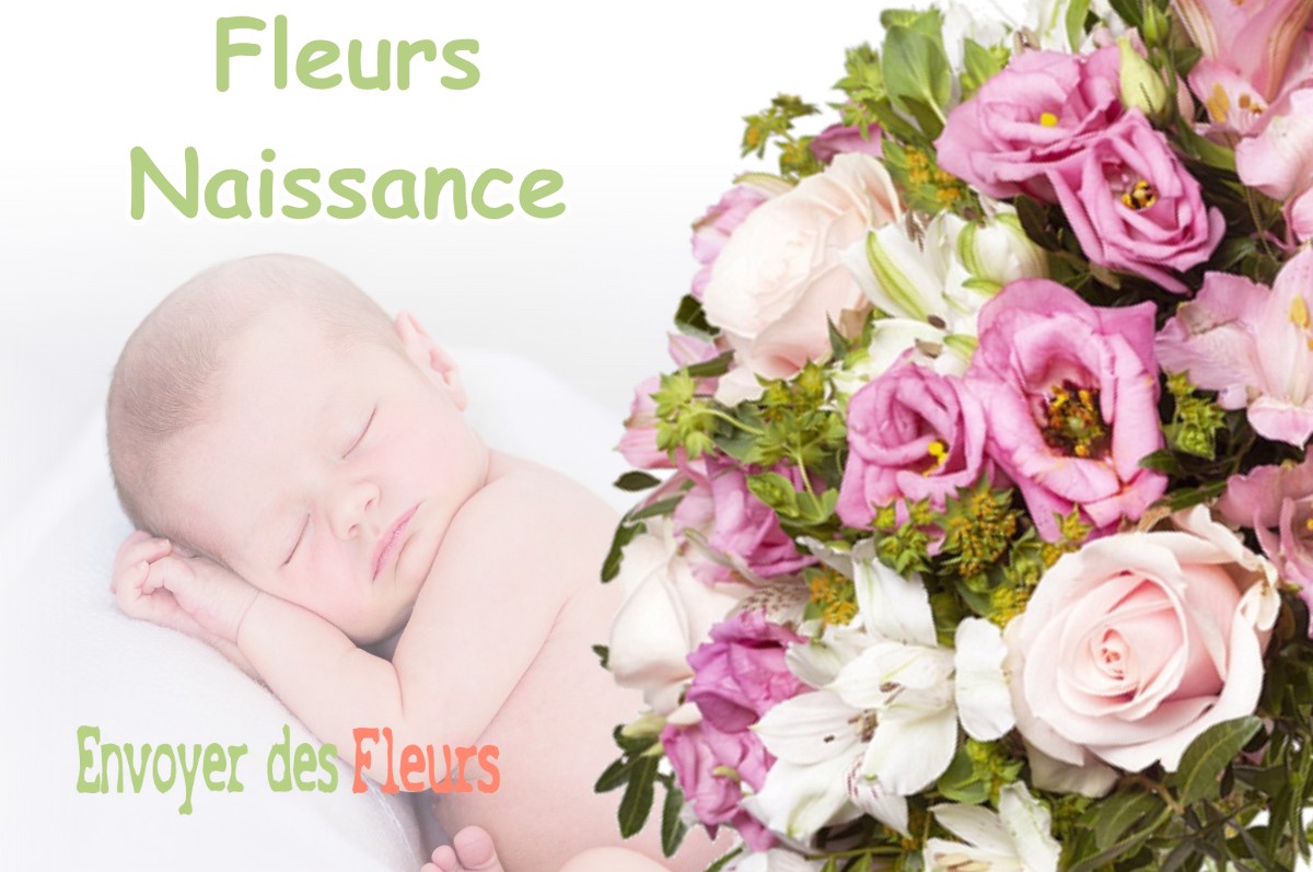 lIVRAISON FLEURS NAISSANCE à CONFLANS-SUR-LOING